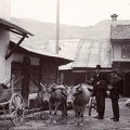 fotok 46834