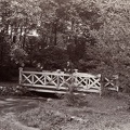 fotok 46835
