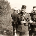 fotok 46456