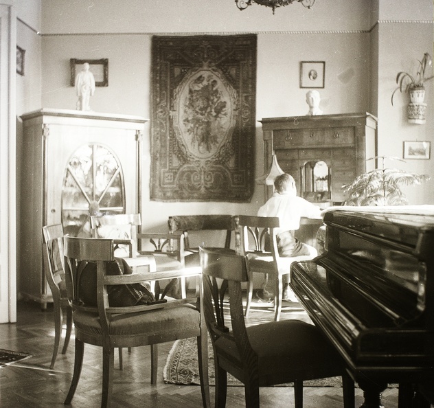 fotok_52515.jpg