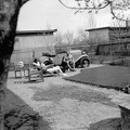 fotok 24487