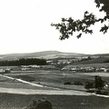 fotok 47277