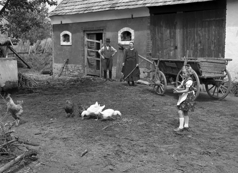 fotok_42836.jpg
