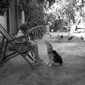 fotok 44006