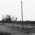 MÁV 411-es (Truman) gőzmozdony tehervonatával.