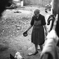 fotok 37404