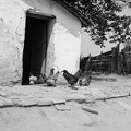 fotok 53921