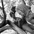 fotok 1949